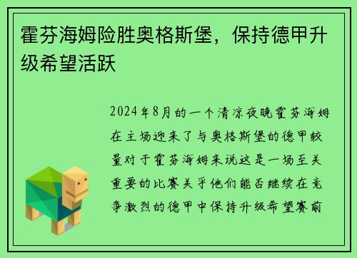 霍芬海姆险胜奥格斯堡，保持德甲升级希望活跃